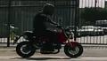 Honda Grom - klip z nowym motocyklem